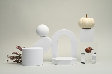 Autumn presentation for product. Geometric figures, heather flowers, acorn and pumpkin on light grey background