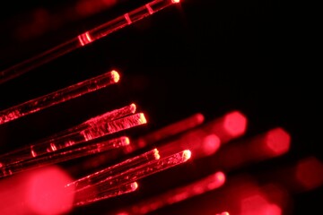 Optical fiber strands transmitting red light on black background, macro view