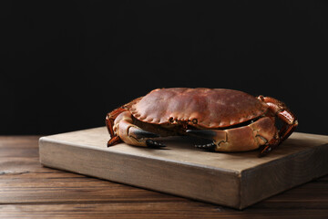 One delicious boiled crab on wooden table, space for text