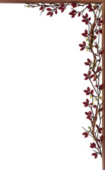 Twig Border Frame PNG Transparent Background