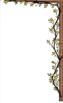 Twig Border Frame PNG Transparent Background