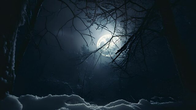 A dreamy scene of a glowing moon peering through the branches of the forest, reflecting off the snowcovered ground and creating an ethereal atmosphere.