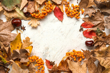 Frame made of autumn leaves with chestnuts, star anise and rowan on white grunge background
