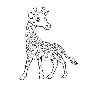 Hand drawn cartoon of giraffe  illustration vector 