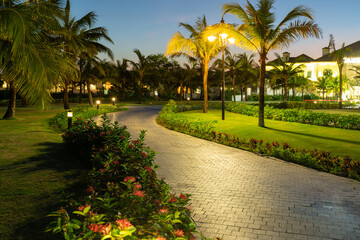 Road in resort park at night with palm trees on background