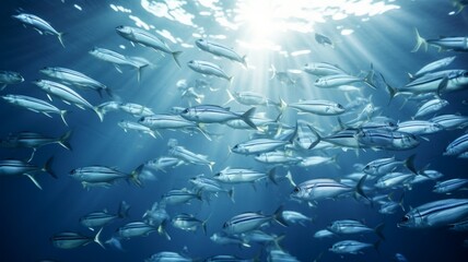 Group of fish swimming underwater world in the blue ocean and sunshine background. - obrazy, fototapety, plakaty
