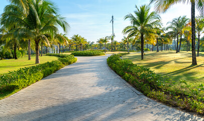 Road in holiday resort with green trees, grass and early sunlight