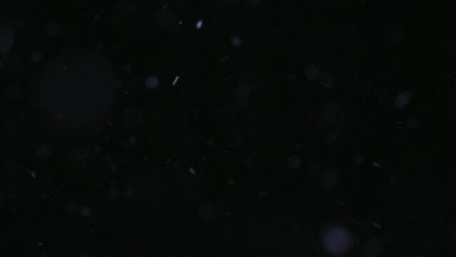 Snow flies on a dark background