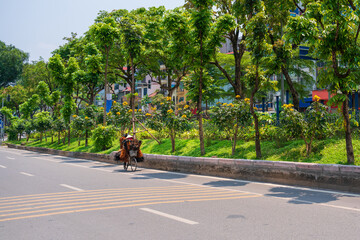 Hanoi street with green tree lines on Kim Ma street