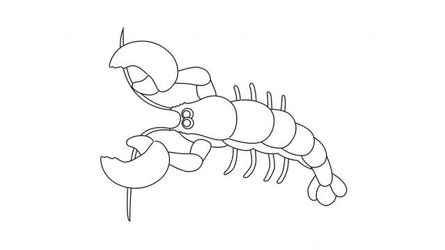 animated sketch of a lobster icon