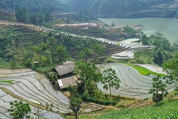 Terraced rice fields in water season in Lao Cai, northern Vietnam