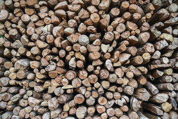 Pile of wood logs. Stack of firewood