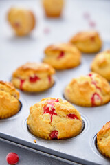 Naklejka na ściany i meble Muffins with red currants in the form for baking