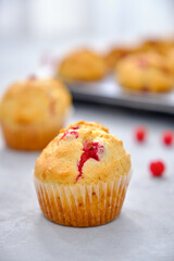 Muffins with red currants in the form for baking