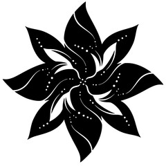 Obraz premium black and white flower isolated, Decoration ornamental Element