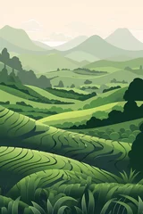 Poster Im Rahmen Tea plantation fields, cascade valley landscape with mount scenery.  Chinese or Sri Lanka meadows with mountains backdrop, terraced agriculture. Asian plants cultivation, rural © Anastasiia