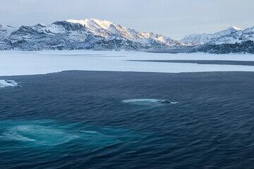 Antarctic landscape with icebergs in the ocean and mountains in the background