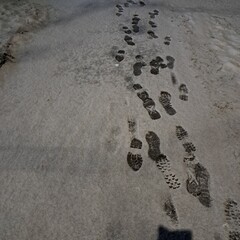 foot tracks on first white snow frozen ground 