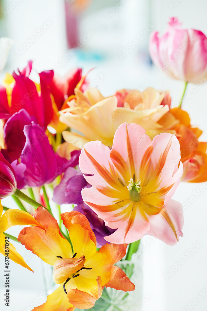 Poster colorful tulips in the vase