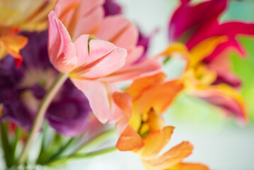 Obraz na płótnie Canvas colorful tulips in the vase