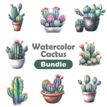 Set of cactus watercolor paint illustration