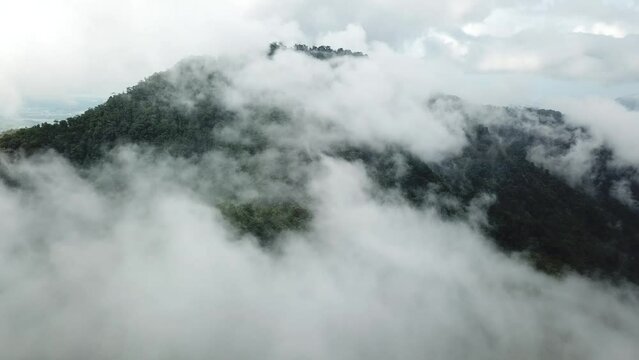 Aerial top down view in natural tourist park or tropical jungle green rainforest. Palopo and Tana Toraja Regency. South Sulawesi. Indonesia.