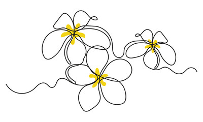 continuous line drawing of Plumeria flowers. Single-line art tropical plant hand drawing Plumeria flowers vector illustration. sketch on a white background.