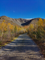 Autumn Arctic landscape in the Khibiny mountains. Kirovsk, Kola Peninsula, Polar Russia. Autumn colorful forest in the Arctic, Mountain hikes and adventures.