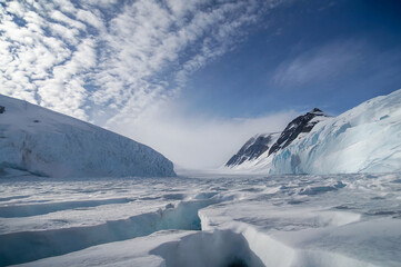 Beautiful view of icebergs in Antarctica on a sunny day.