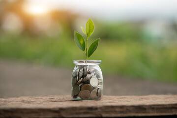 Saving money by puting coins in jug glass on nature background