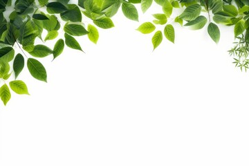 natural botany green leaves frame on white background, Generative AI - obrazy, fototapety, plakaty
