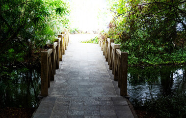 Bridge over little river in the park