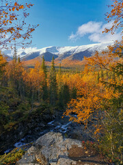 Autumn Arctic landscape in the Khibiny mountains. Kirovsk, Kola Peninsula, Polar Russia. Autumn colorful forest in the Arctic, Mountain hikes and adventures.