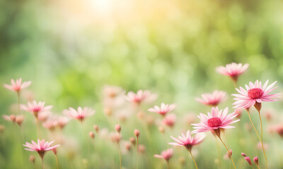 Spring flowers create a smooth background