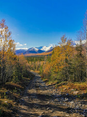 Fototapeta na wymiar Autumn Arctic landscape in the Khibiny mountains. Kirovsk, Kola Peninsula, Polar Russia. Autumn colorful forest in the Arctic, Mountain hikes and adventures.