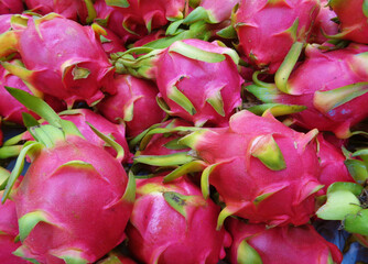 Pile of Fresh Ripe Dragon Fruits (Pitaya) For Sale on Local Market