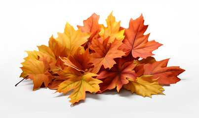 Naklejka na ściany i meble Pile of autumn colored leaves isolated on white background.A heap of different maple dry leaf .Red and colorful foliage colors in the fall season
