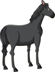 Isolated Horse Standing, Looking from the Back