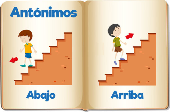 Educational Antonyms Spanish Picture Word Card: Abajo and Arriba up and down