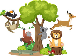 Harmonious Coexistence of Wild Animals in Forest