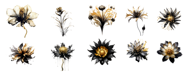 Watercolor flowers on a white background without shadows for illustration.