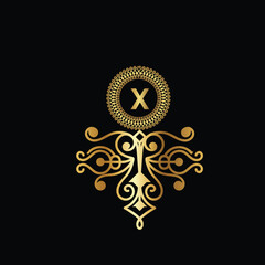 Fototapeta na wymiar luxury golden latter logo design