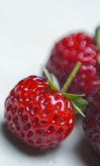 Strawberries on a white background