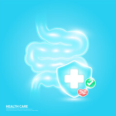 Medical health care. Small intestine human organ and symbol cross in blue shield glass and red heart pulse line with check mark green button. Life health insurance concept. Medical service. Vector.