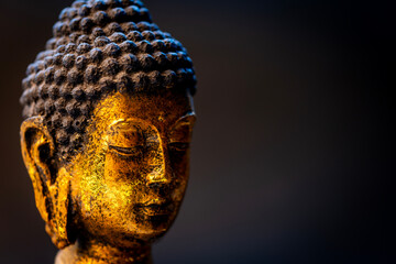 buddha statue in calm rest pose.Shakyamuni Buddha is a spiritual teacher, one of the three world...