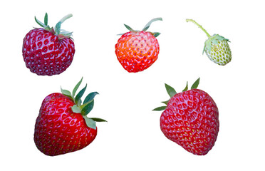Strawberries on a white background