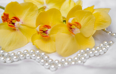 yellow Orchid and pearl necklace on a shiny gold background
