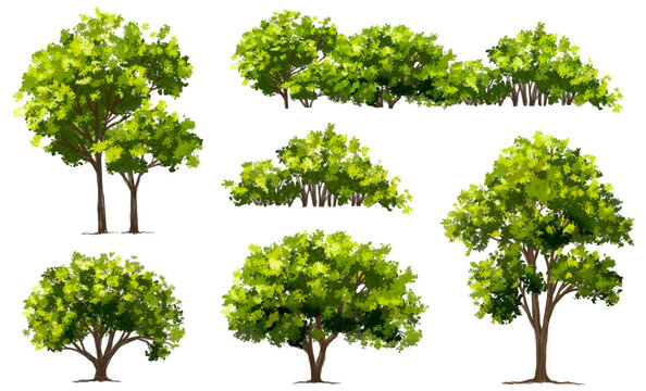 Vertor set of green tree,plants side view for landscape elevation,element for backdrop,eco environment concept design,watercolor greenery scene