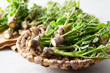 edible shoots of a fatsia
