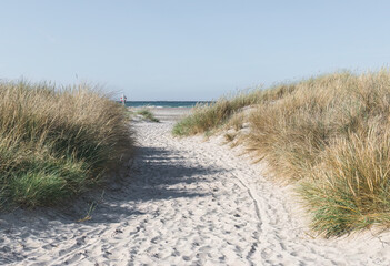 Fototapeta na wymiar sandy beach and dunes on the North Sea coast in Denmark